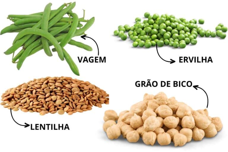 6 alimentos nutritivos para substituir o feijão tradicional e variar os