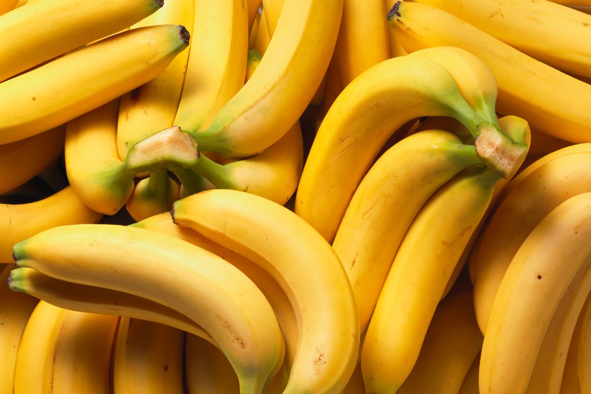 Você gosta de banana Saiba tudo sobre essa fruta que ninguém nunca te