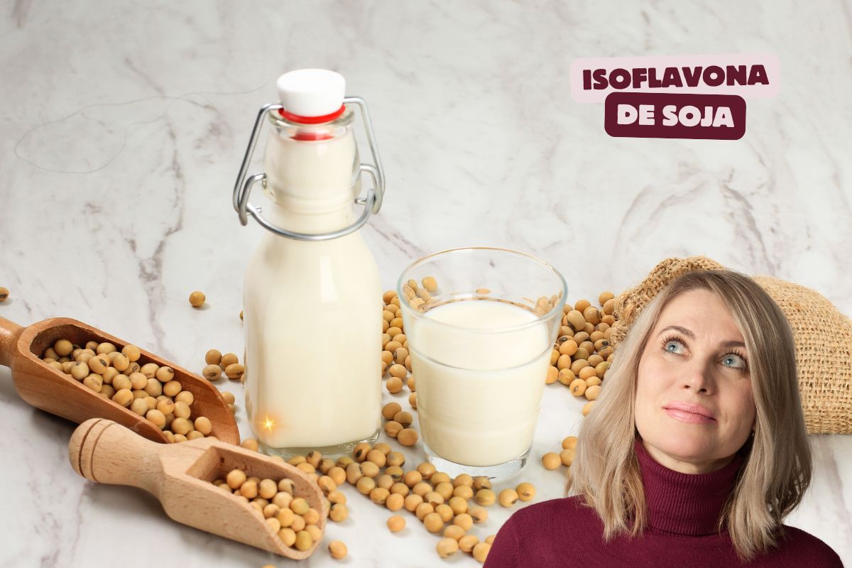 Isoflavones De Soja Qu Est Ce Qu Elles Sont Leurs Avantages Et