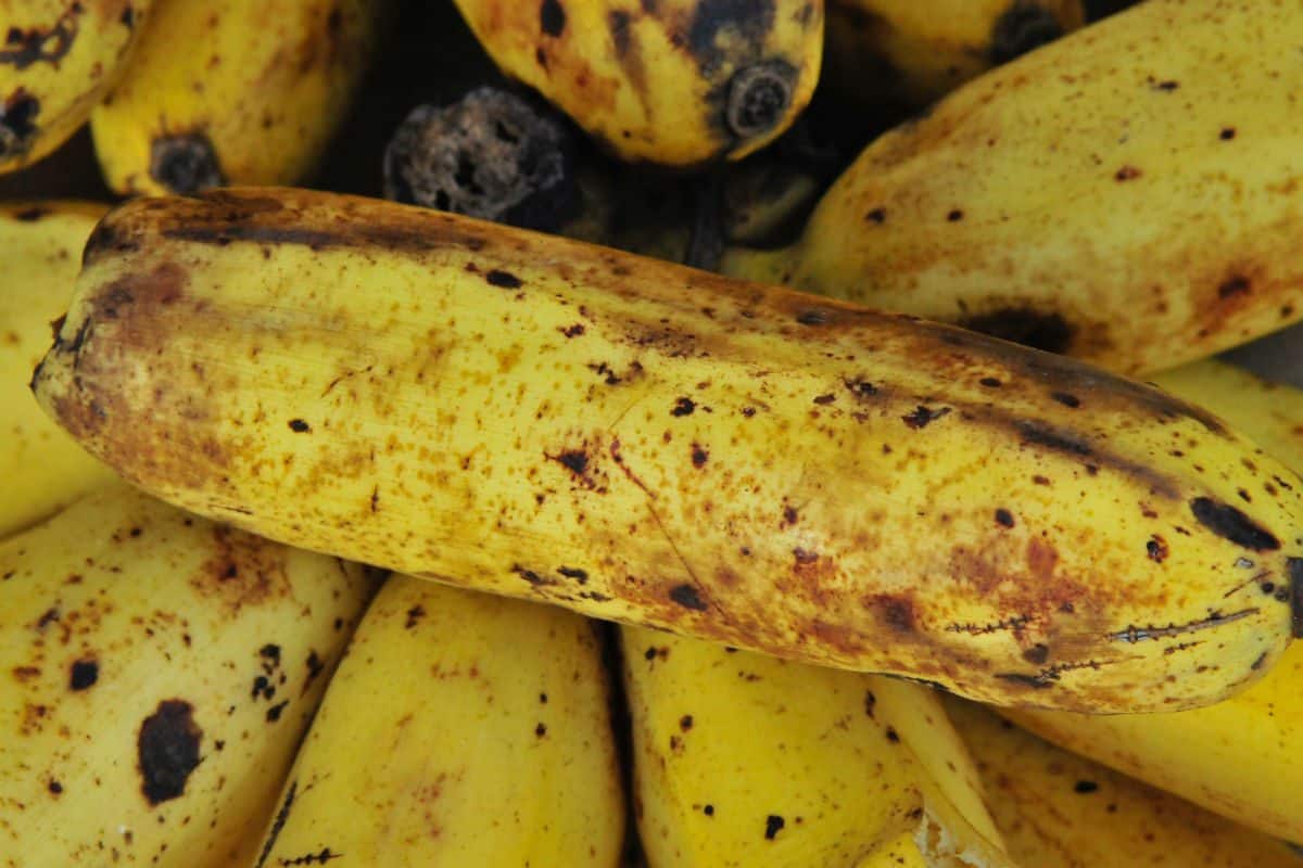 diabéticos podem comer banana
