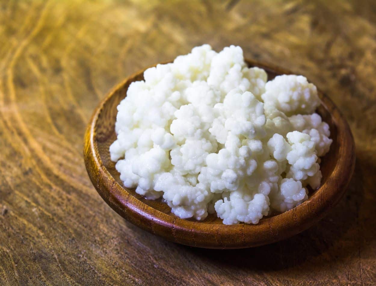 Benefícios do Kefir veja 10 motivos para incluir na sua dieta hoje ainda