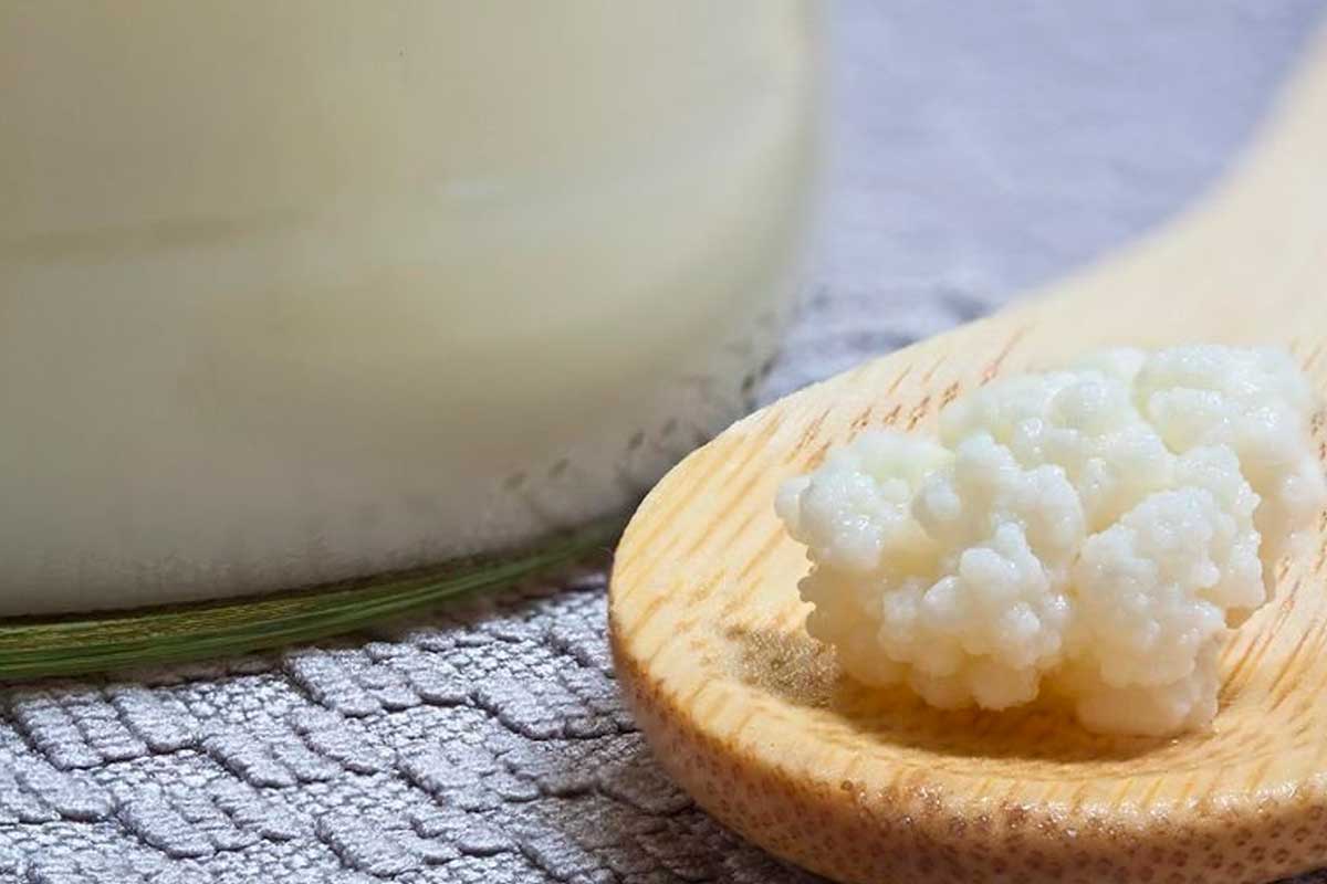 kefir