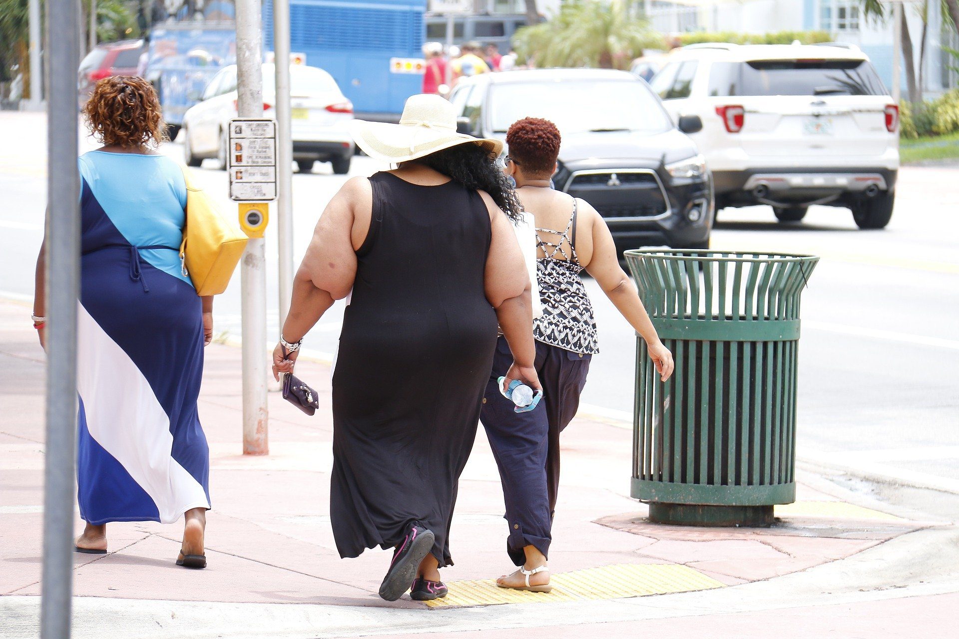Obesidade e sobrepeso