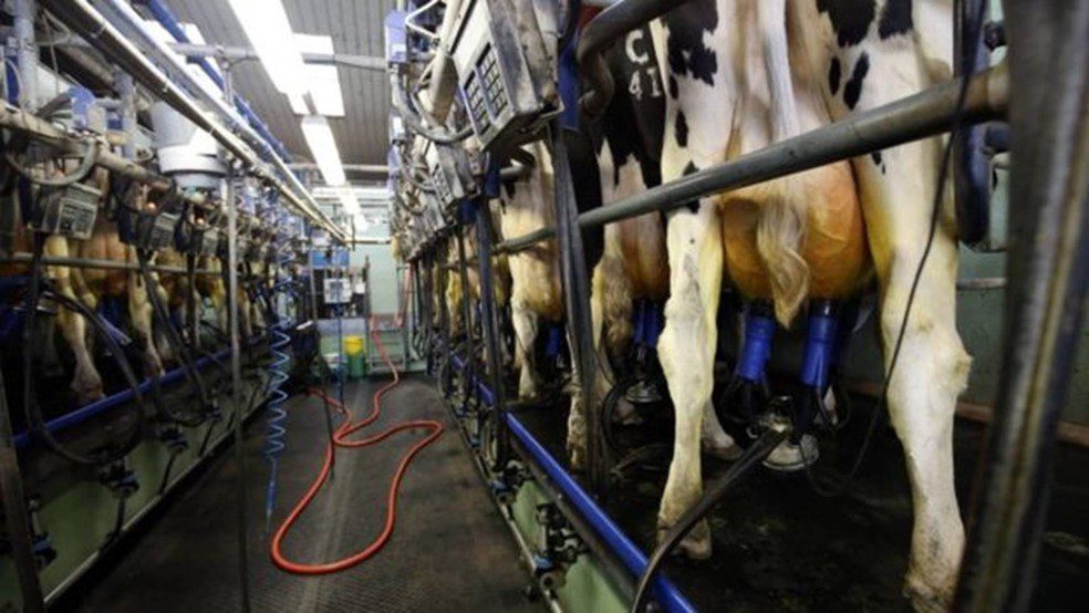 Sala de ordenha de vacas/Foto: PA Media via BBC