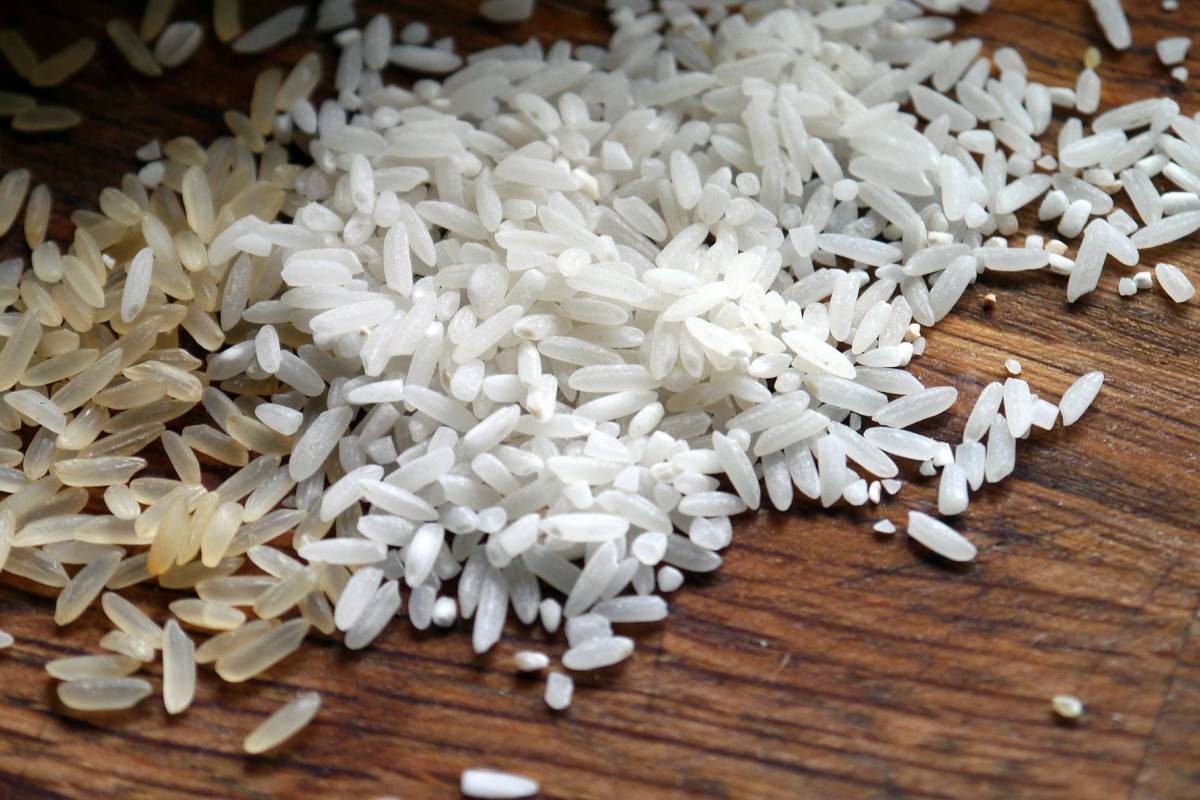 Qual arroz tem mais carboidrato e qual engorda menos: confira os tipos agora mesmo