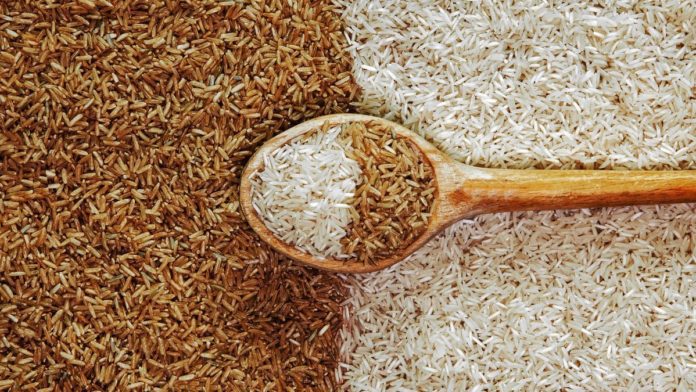 qual e o arroz tem mais caboidrato e qual engorda menos Qual arroz tem mais carboidrato e qual engorda menos: confira os tipos agora mesmo