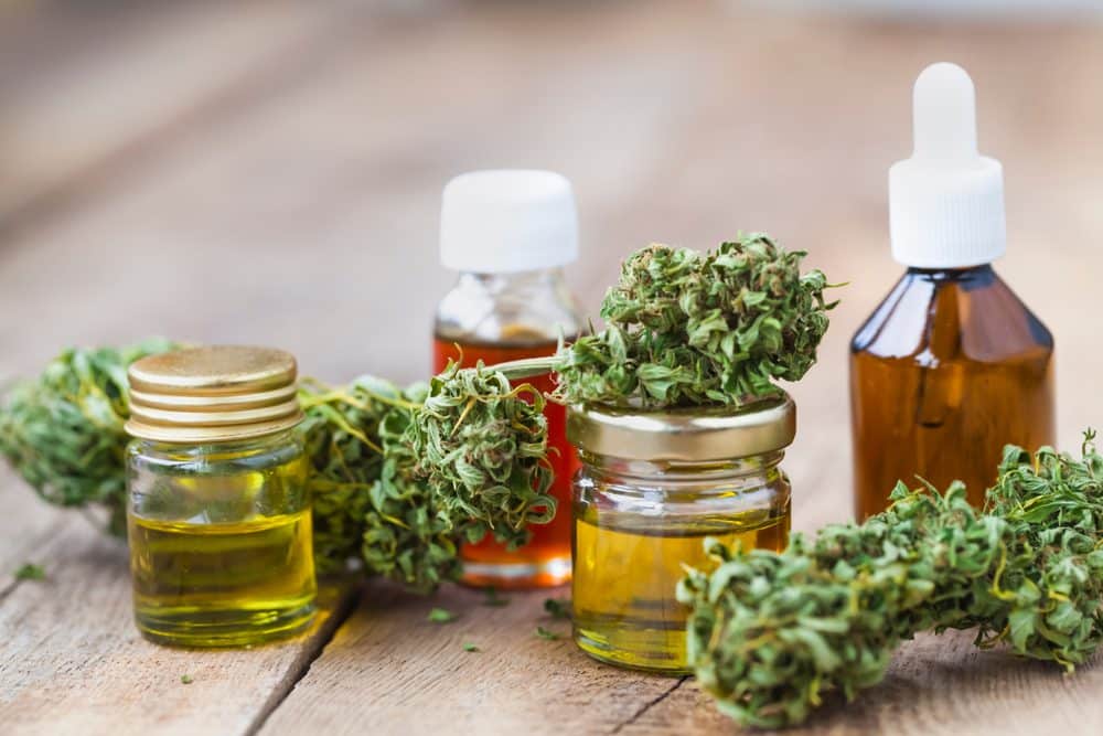 SUS oferecerá remédio à base de cannabis