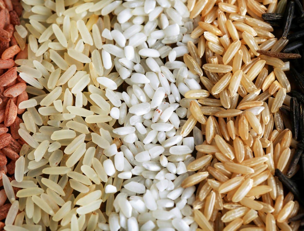 Tipos de arroz integral, branco e parboilizado. e 