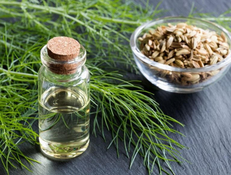 A erva-doce (Pimpinella anisum) também chamada de funcho, anis-verde, anis e pimpinela-branca é uma espécie muito conhecida, principalmente pelas suas propriedades medicinais.