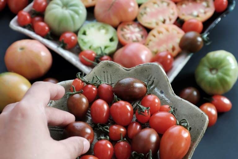 Confira agora 10 alimentos baratos que bombam sua imunidade e tenha uma dieta completa 6 Confira agora 10 alimentos baratos que bombam sua imunidade e tenha uma dieta completa