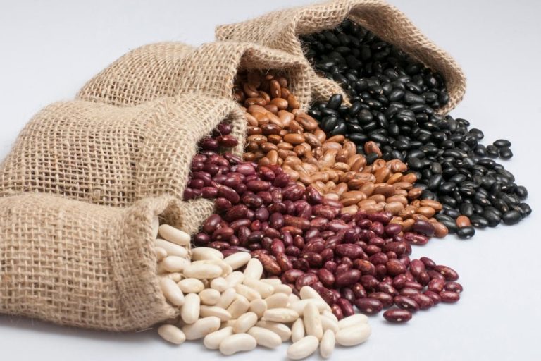 Feijão é low carb? Saiba suas calorias e qual tipo escolher com segurança 1 Feijão é low carb? Saiba suas calorias e qual tipo escolher