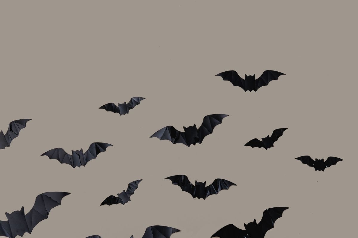 revoada de morcegos