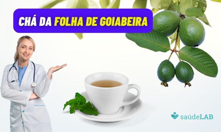 Chá da folha de goiabeira: 8 benefícios incríveis para sua saúde 4 Chá da folha de goiabeira.