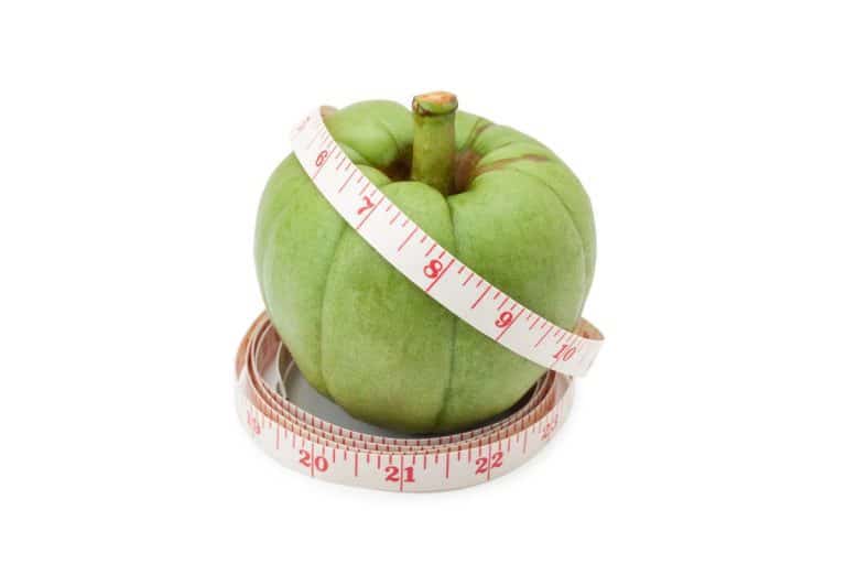 Garcinia Cambogia: o que é, benefícios e como tomar 6 garcinia cambogia