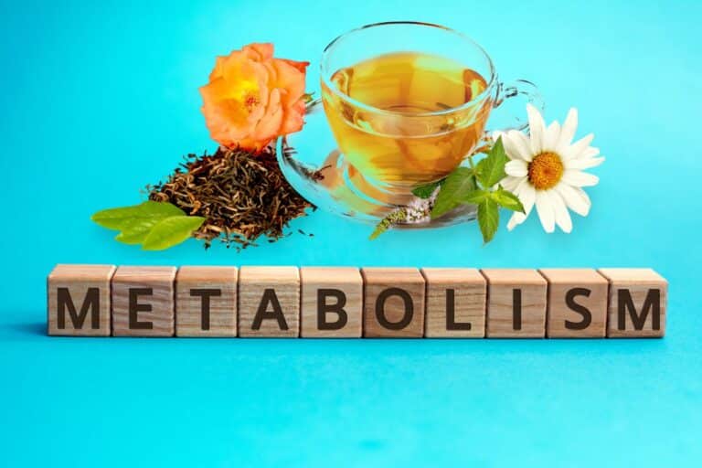 acelerar metabolismo com chá