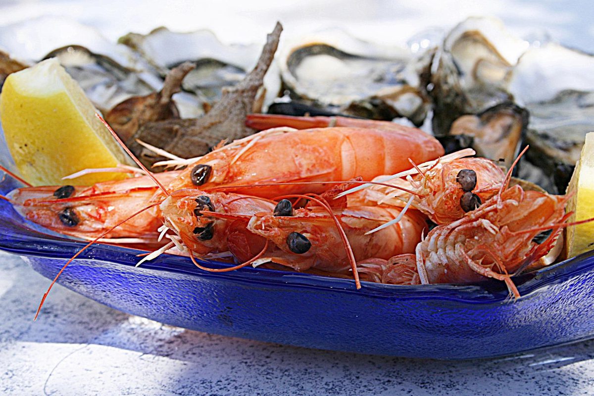 prato de frutos do mar 