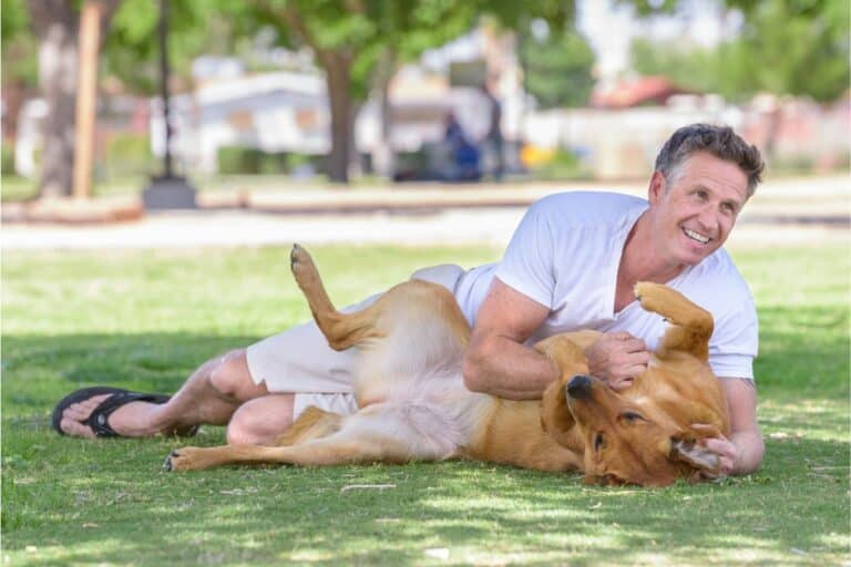 brincar com pets domésticos