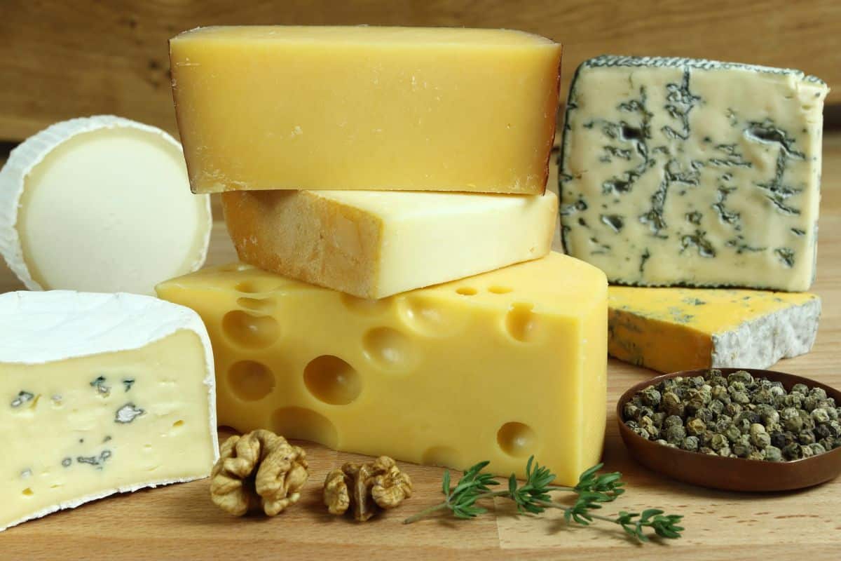 tipos de queijos lowcarb