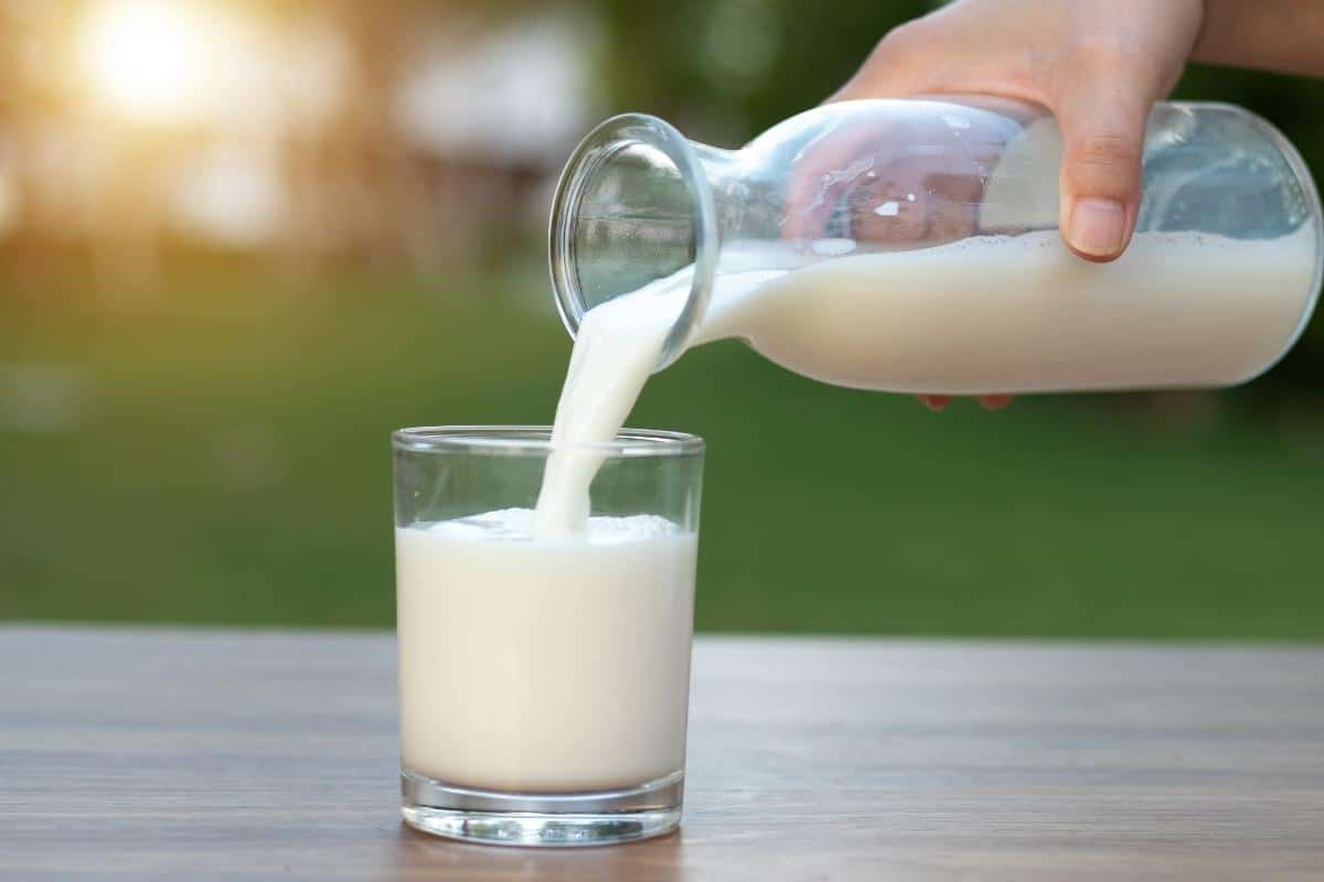Leite vegetal: 03 receitas caseiras que vão conquistar seu paladar (e o seu bolso) 2 Leite vegetal na garrafa de vidro