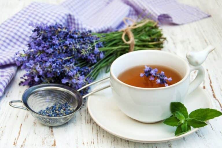 Chá de lavanda: você sabia que dá uma bebida incrível? Conheça os benefícios 1 chá de lavanda