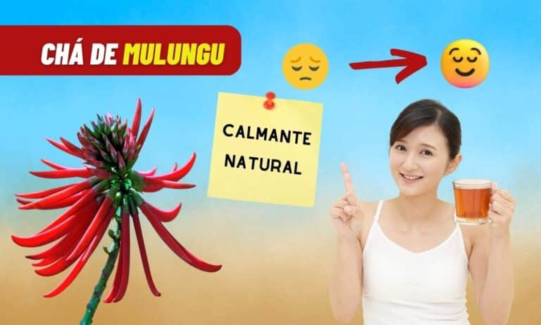 Chá de Mulungu.