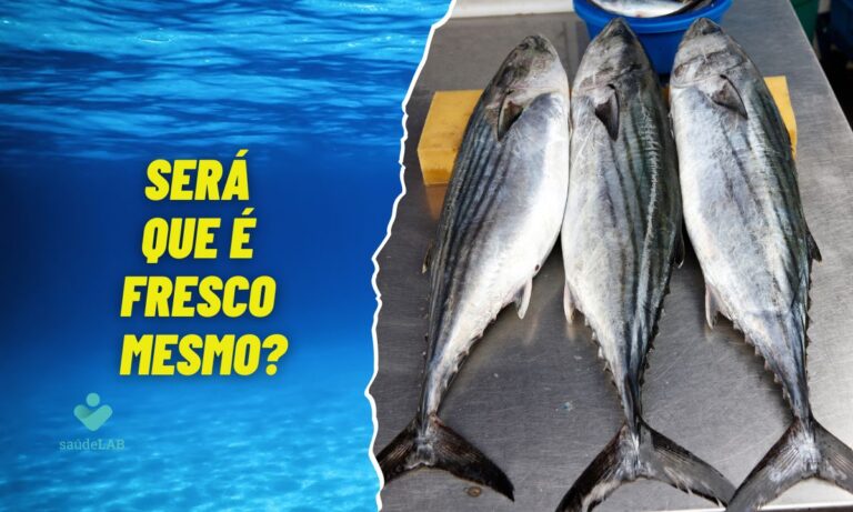 8 dicas para reconhecer e escolher peixe fresco de verdade 1 Escolher peixe fresco