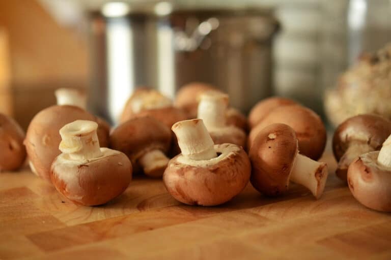 Como higienizar cogumelos sem precisar lavá-los? 3 dicas essenciais antes do preparo 6 Como higienizar cogumelos