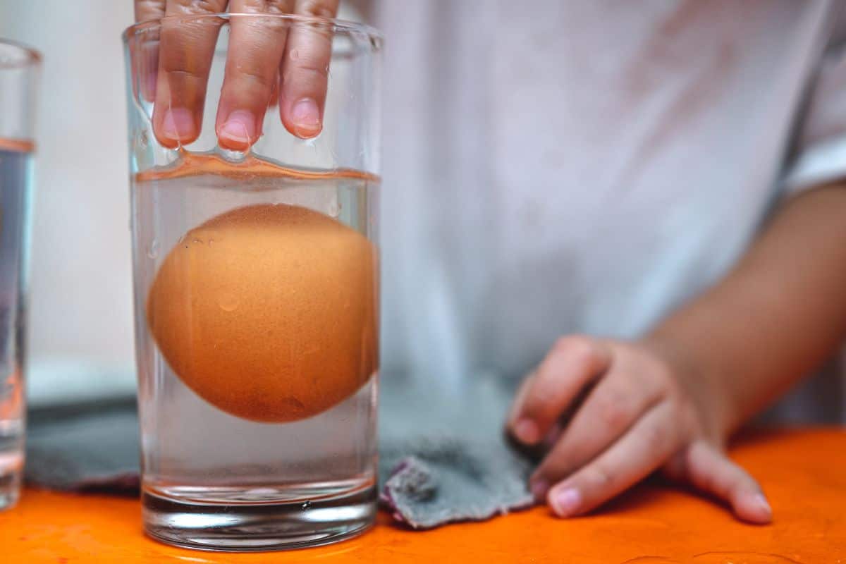 Veja agora como saber se o ovo está bom para consumo sem quebrá-lo 2 ovo bom para consumo dentro do copo com água