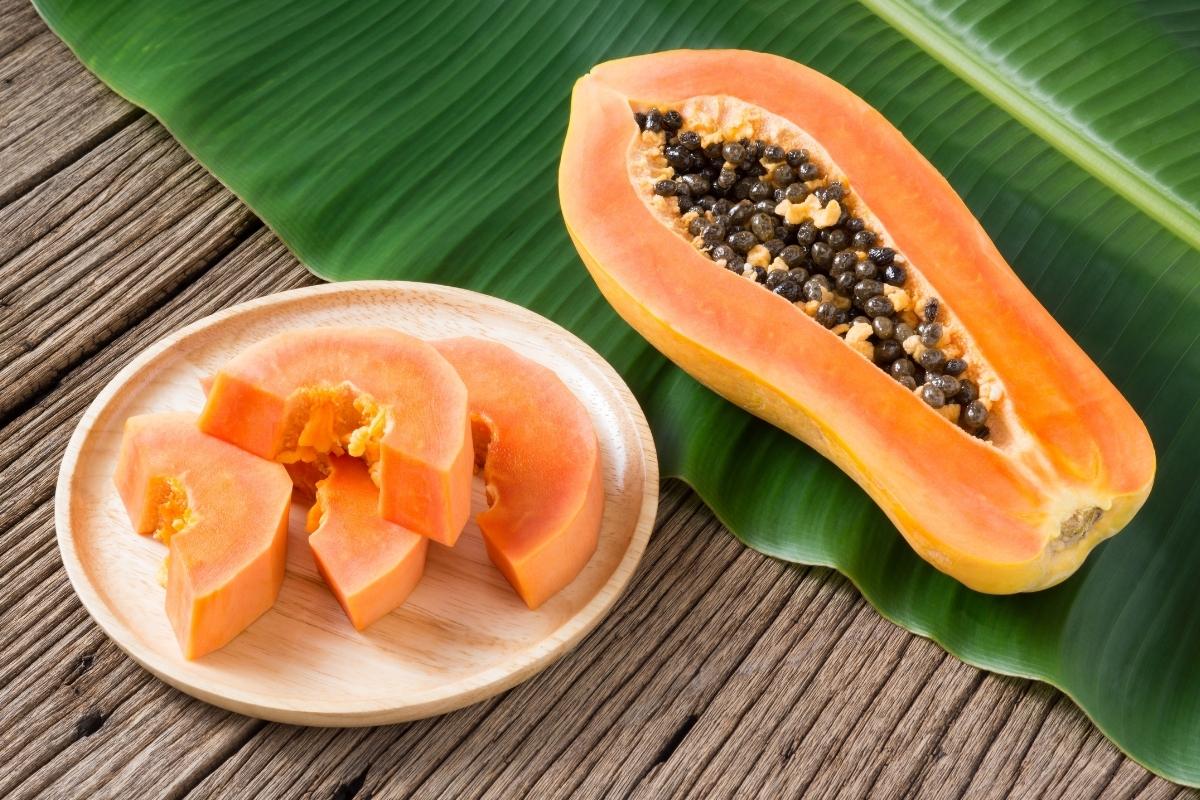 03 receitas práticas e saudáveis com mamão: aproveite os diversos benefícios dessa fruta saborosa 1 03 receitas práticas e saudáveis com mamão: aproveite os diversos benefícios dessa fruta saborosa