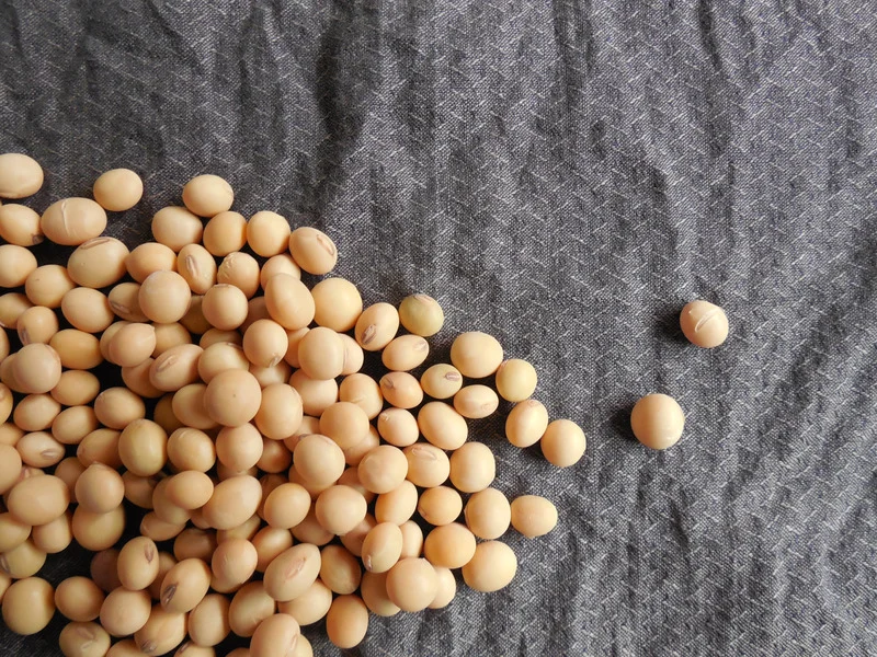 alimentos para menopausa