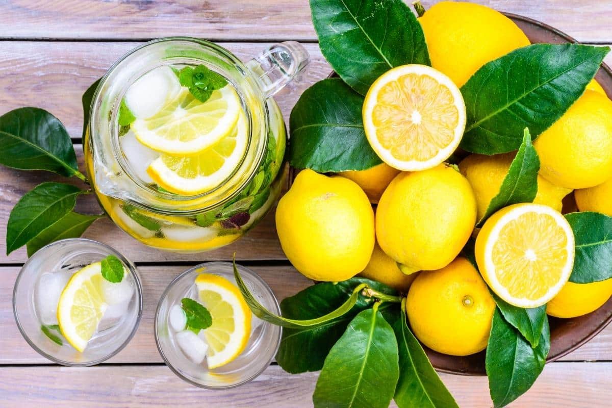 Refrigerante caseiro de limão: prepare essa versão saborosa, leve e com menos açúcar