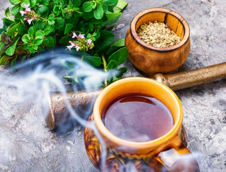 Chá de Orégano possui vários benefícios; mas todo mundo pode tomar? Entenda 3 Chá de orégano