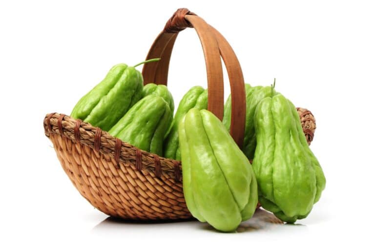 cesta de chuchu fresco