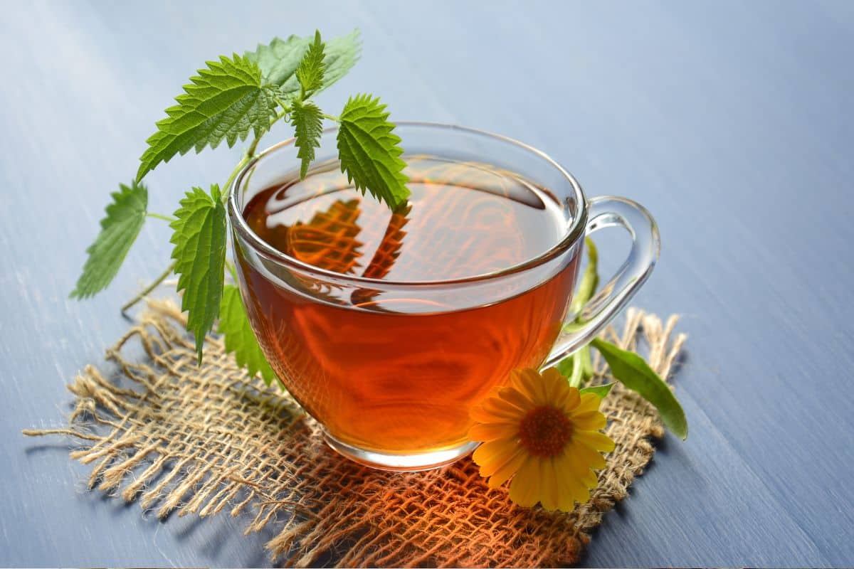 chá caseiro para alívio das cólicas menstruais