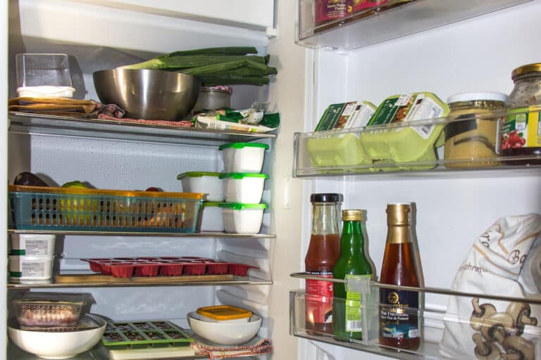 conservar alimentos na geladeira