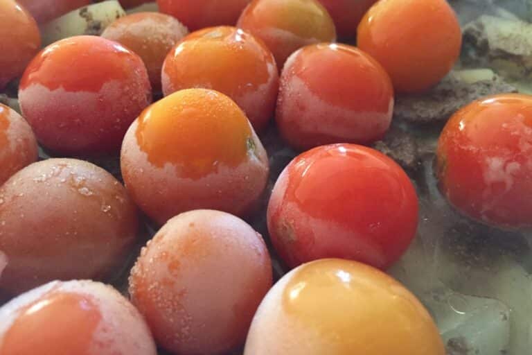 Qual a maneira correta de descongelar os alimentos antes do preparo? Veja os principais erros 6 como descongelar alimentos