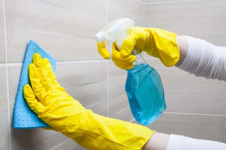 desinfetar banheiro com solução caseira