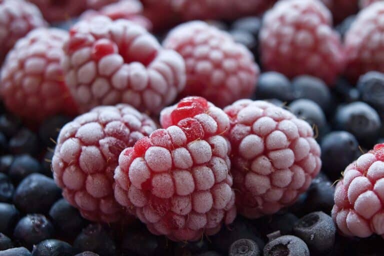 Conheça 05 frutas que podem ser congeladas sem perder nutrientes 1 frutas congeladas