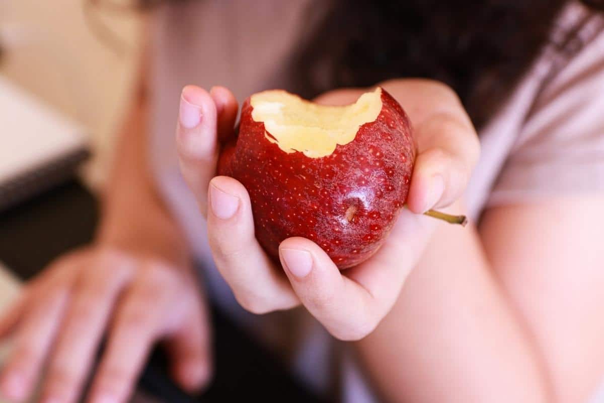 Pode comer maçã na dieta Low Carb?