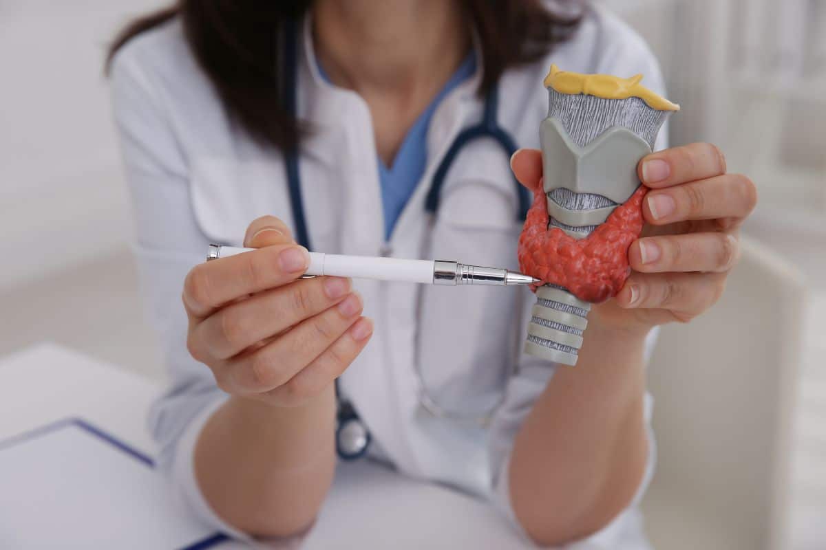 Quais os sintomas de problemas na tireoide? Saiba como o corpo alerta e aja rápido 1 médica mostrando sintomas de problemas na tireoide
