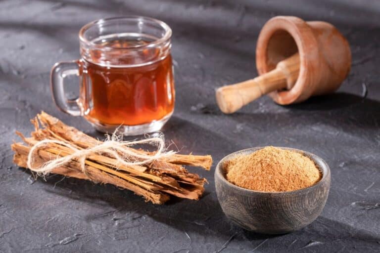 Chá de Unha-de-Gato é bom para quê? Veja os benefícios e como fazer corretamente 2 chá de unha de gato em gravetos e triturado