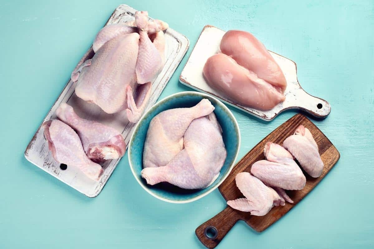 Como saber se o frango está estragado? Qual a maneira correta de conservar? Confira agora mesmo