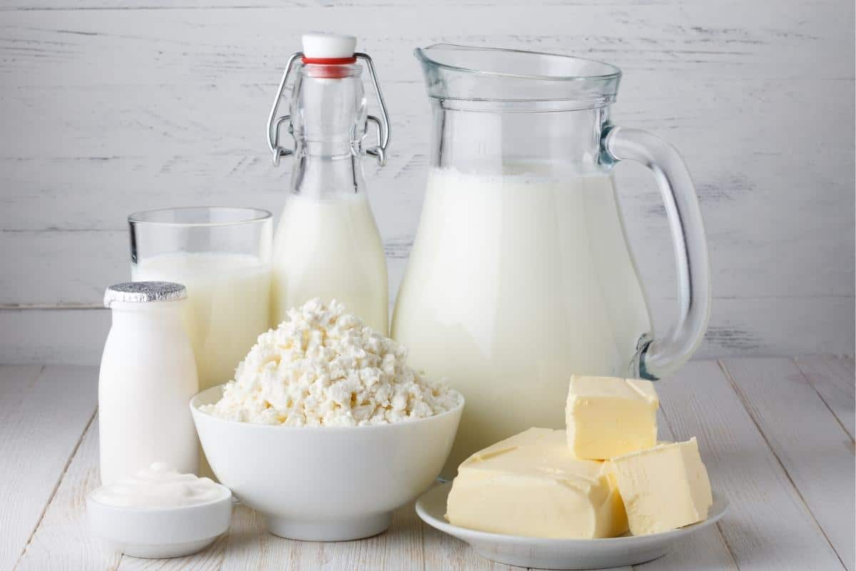 Laticínios caseiros: 3 receitas inéditas que não podem faltar no dia a dia 1 Laticínios caseiros queijo, requeijão e iogurte
