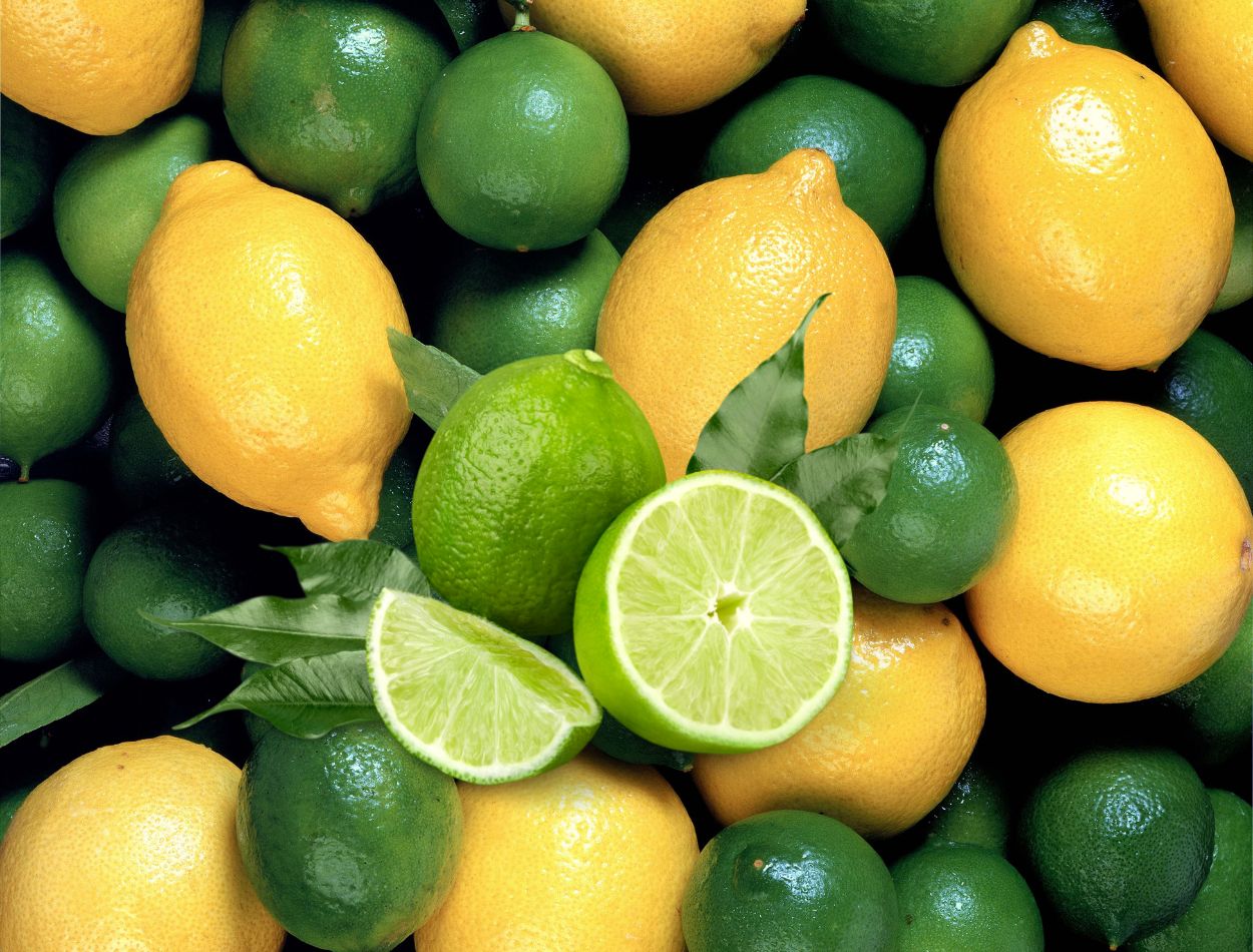 Limão: saiba mais sobre os tipos e benefícios desta fruta incrível 1 tipos de limão