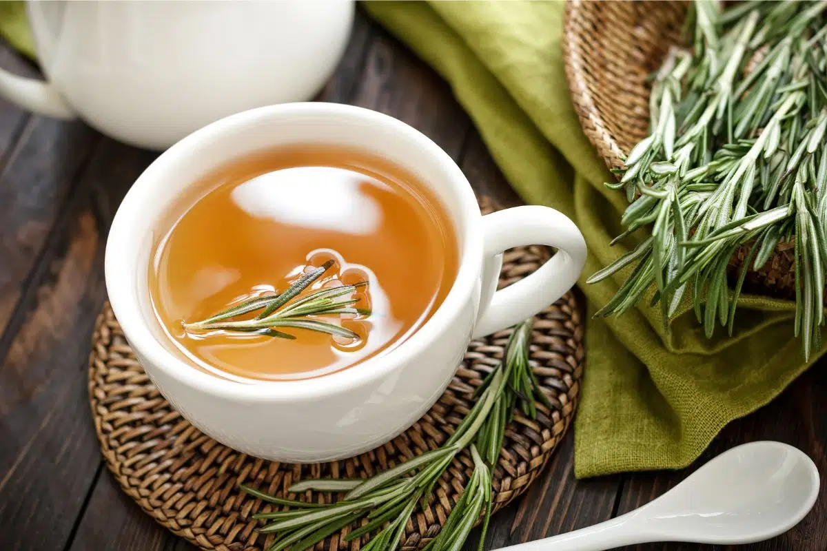 cultivar alecrim e fazer chá