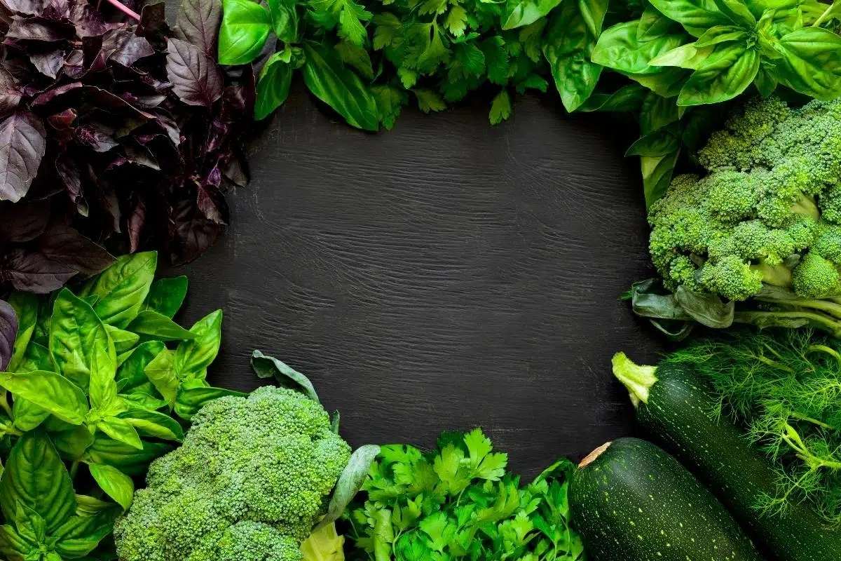 Como consumir legumes e verduras na dieta low carb: confira esse guia prático com 12 opções para acertar no dia a dia