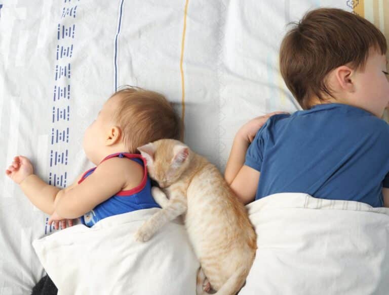 Crianças precisam de quantas horas de sono