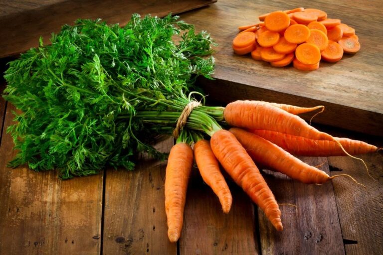 Cenoura pode na low carb? Saiba tudo sobre o alimento