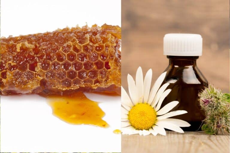 Extrato de Própolis