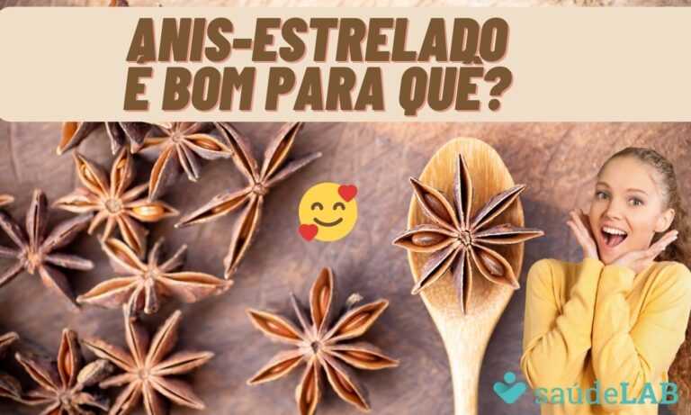 frutos de anis estrelado
